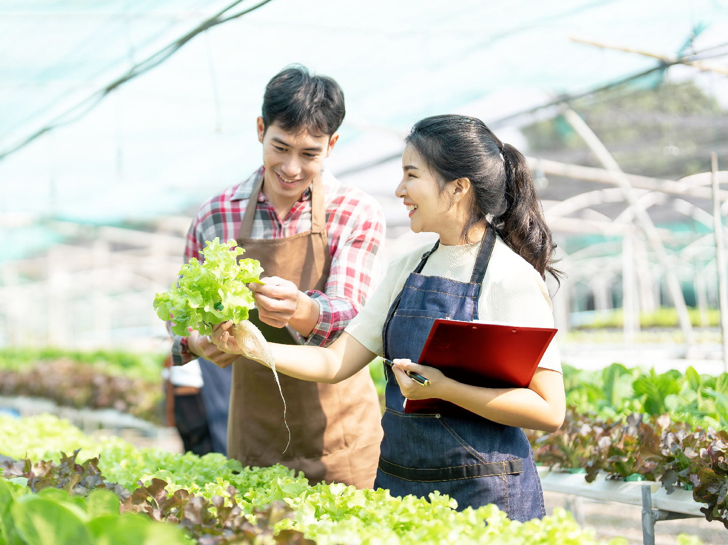 The Rise of Agropreneurs: How Malaysian SMEs Help Cultivate the Future